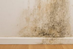 تسربات الجدران الظاهرة