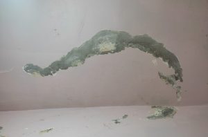 معالجة الرطوبة الظاهرة