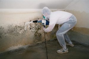 معالجة الرطوبة بطرق حديثة